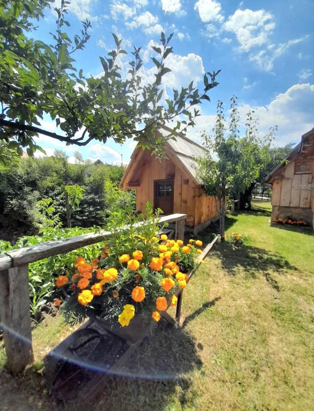 Etno Smjestaj Bjelasica Kolašin Extérieur photo