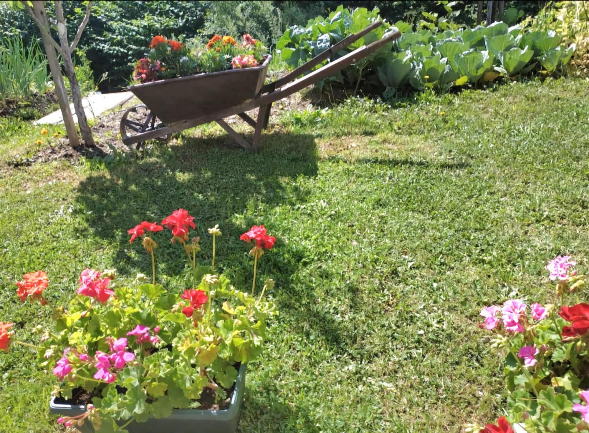 Etno Smjestaj Bjelasica Kolašin Extérieur photo